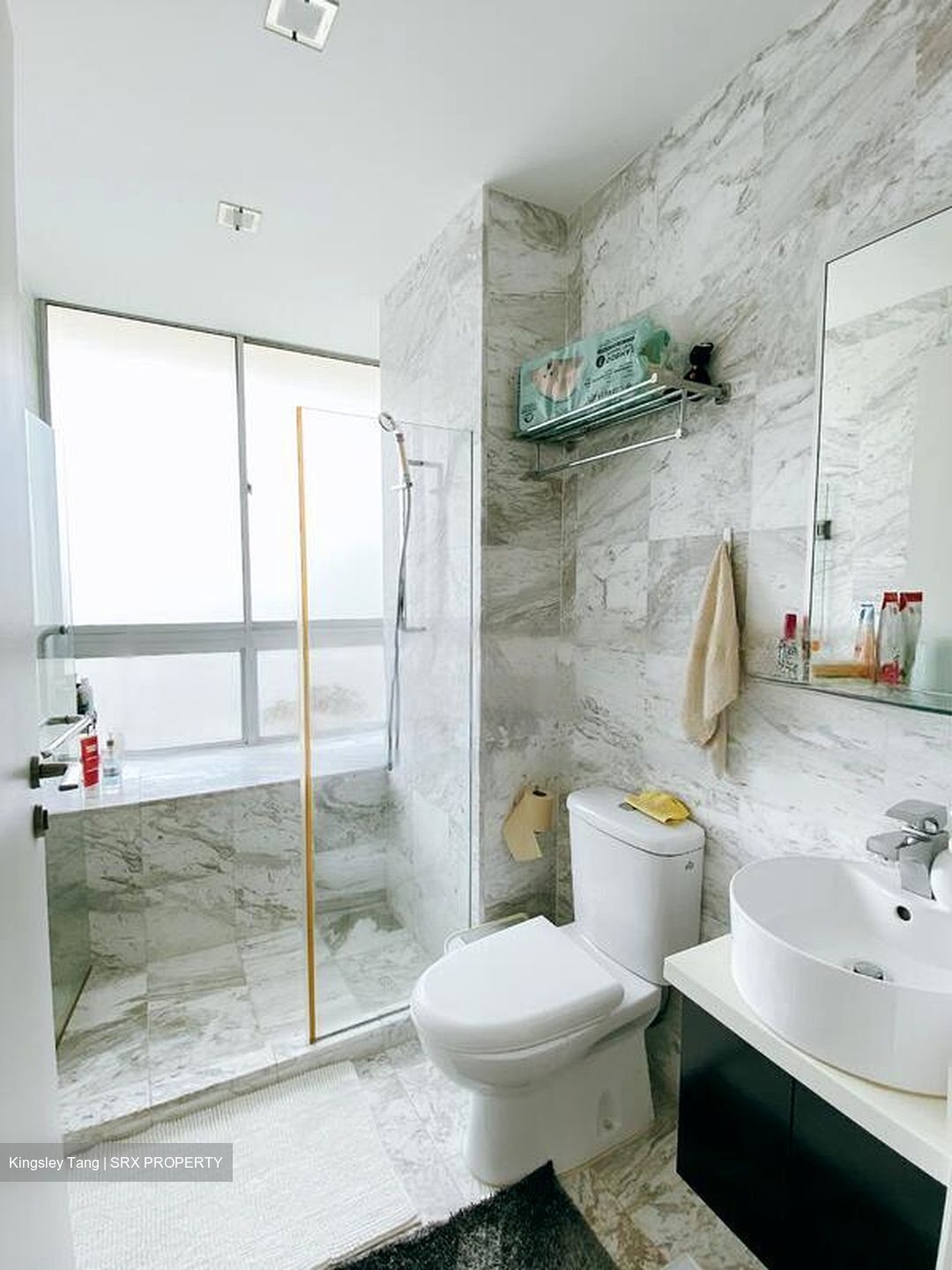 Zenith (D10), Apartment #484225221
